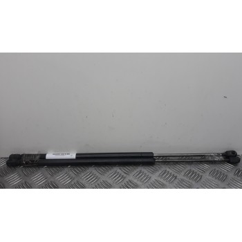 AMORTIGUADORES MALETERO / PORTON 1224731 