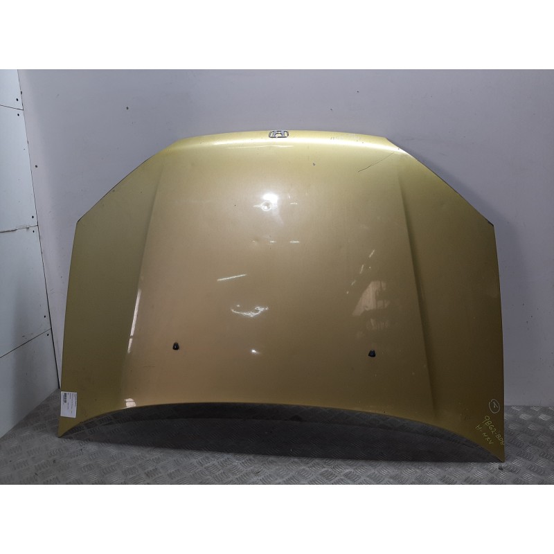 CAPOT 60100S2H000ZZ ORO  - imagen 1