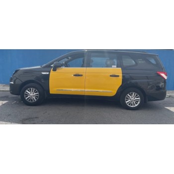 SSANGYONG RODIUS