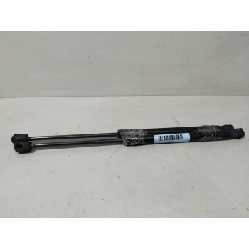 AMORTIGUADORES MALETERO / PORTON 24463829 