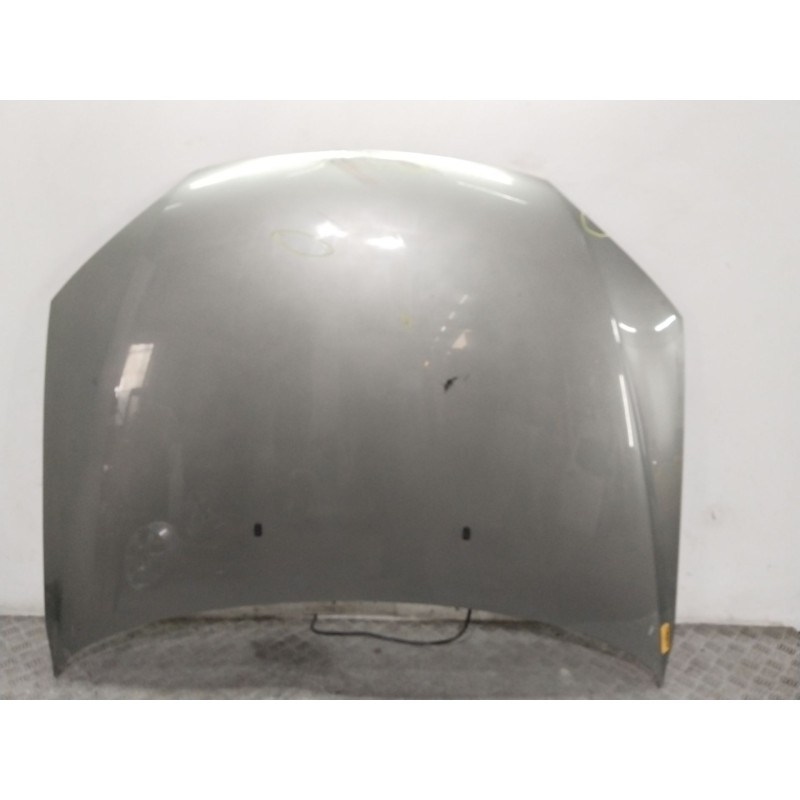 CAPOT DELANTERO 1118533  - imagen 1