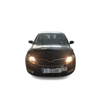 SKODA RAPID (NH3, NK3, NK6)