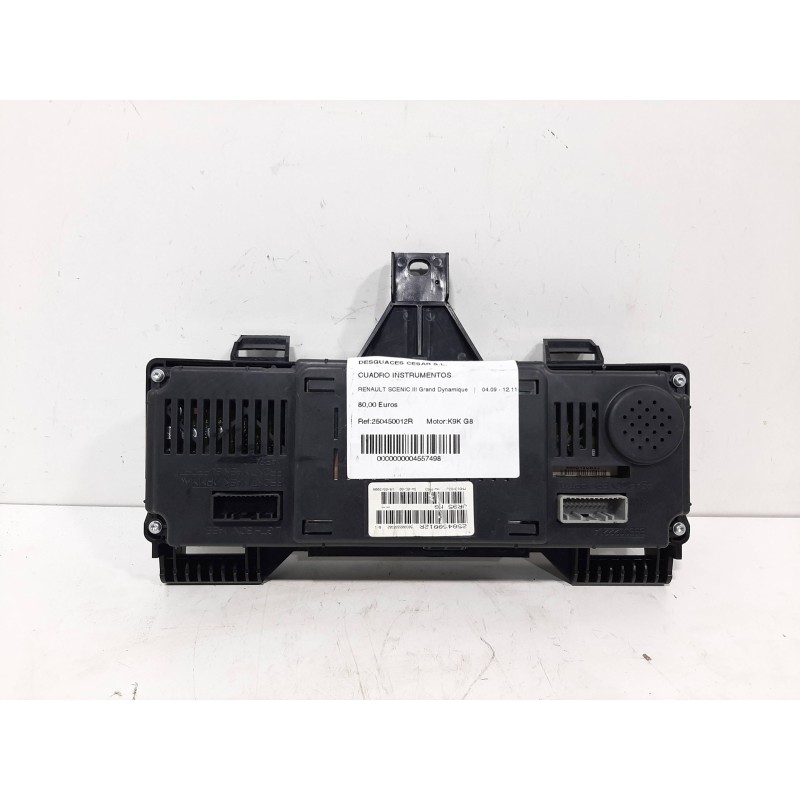 CUADRO INSTRUMENTOS 250450012R  - imagen 2