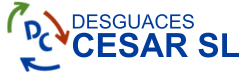 Desguaces Cesar logo